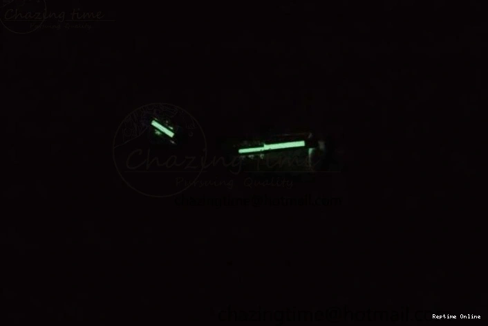 0212 Datejust 41 SS Full Diamonds TWF 1:1 Best Edition Arabic Markers Dial on Bracelet A Sporty 2395